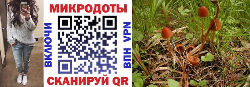 Купить где  Ува  Псилоцибиновые грибы MAGIC MUSHROOMS 